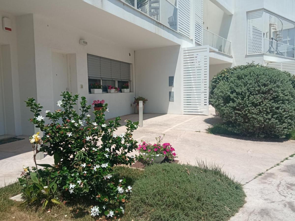 Green Park Λέτσε Εξωτερικό φωτογραφία